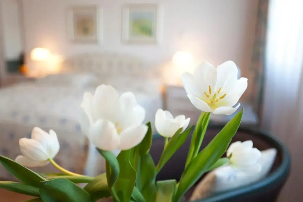 TOP Hotel Post Frankfurt Airport - Chambres