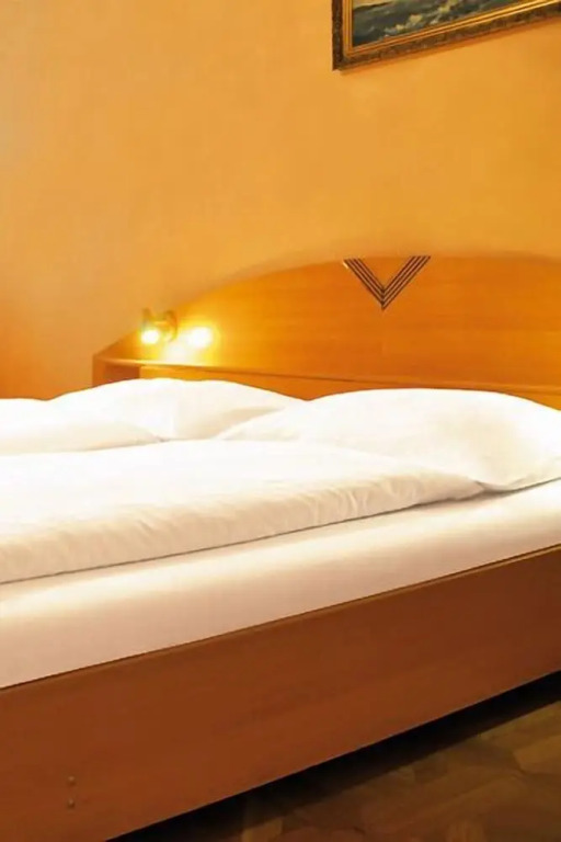 Hotel v Centru by null