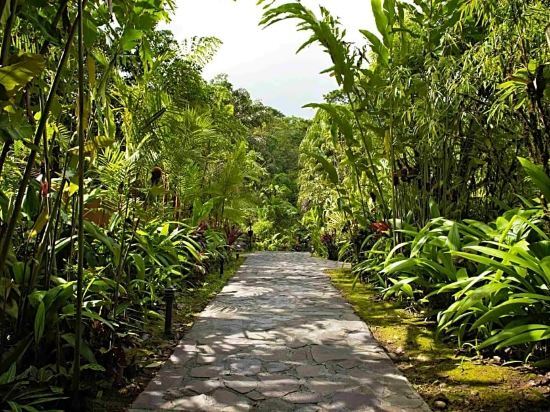 Rio Celeste Hideaway Hotel picture