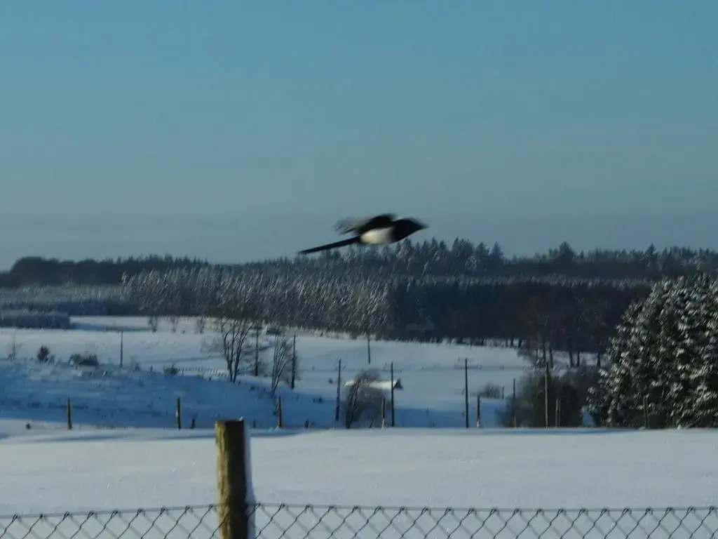 B&B La Chabetaine - фото 13