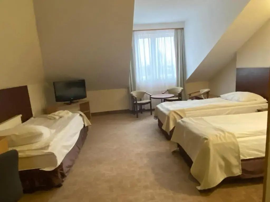 Ambasador Chojny Hotel Lodz - Chambres