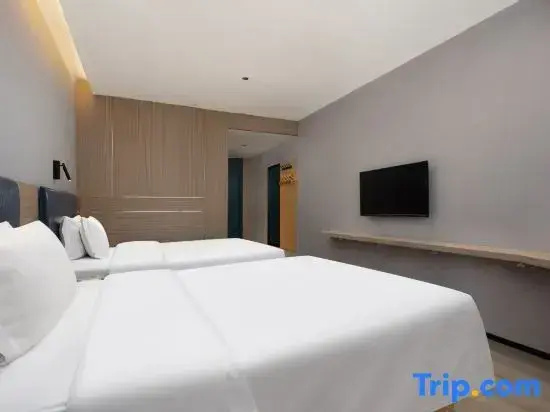 Deluxe Double room (twin beds)