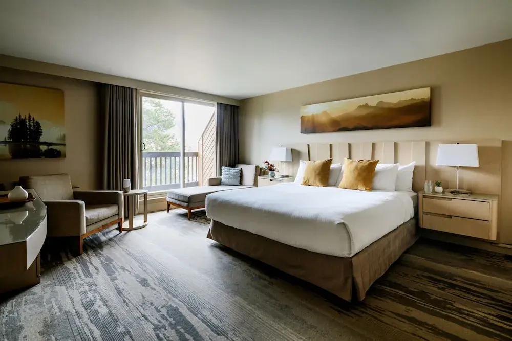 Forest Park Hotel - Chambres