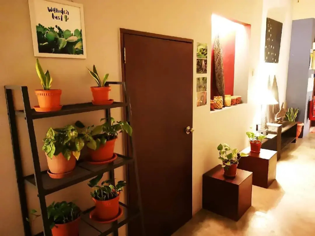 Economy room