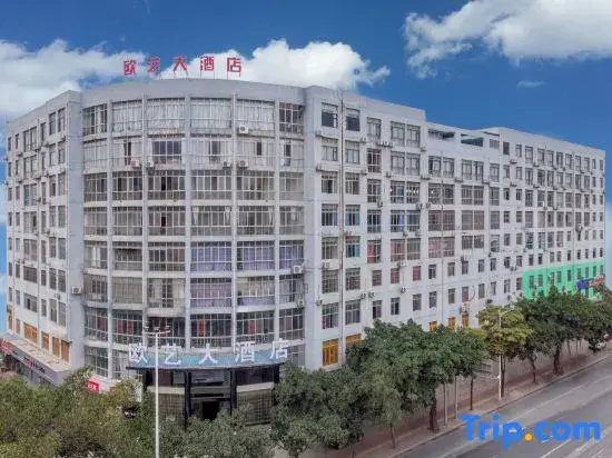 Ouyi Hotel (Nanning Anji Wanda Anji Passenger Transport Terminal Subway Station)