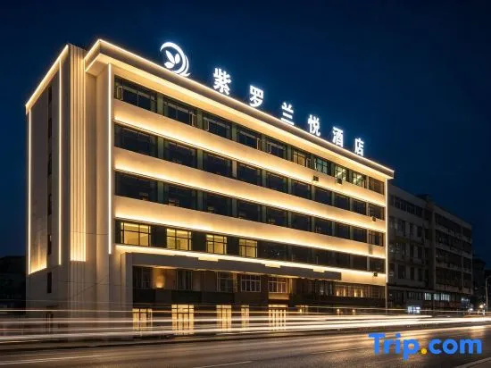 Violet Yue Hotel (Yueyang Tower Scenic Area)