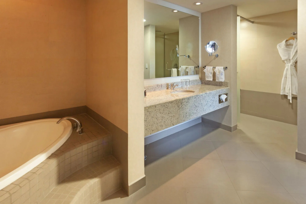Crowne Plaza Leon by IHG - Général