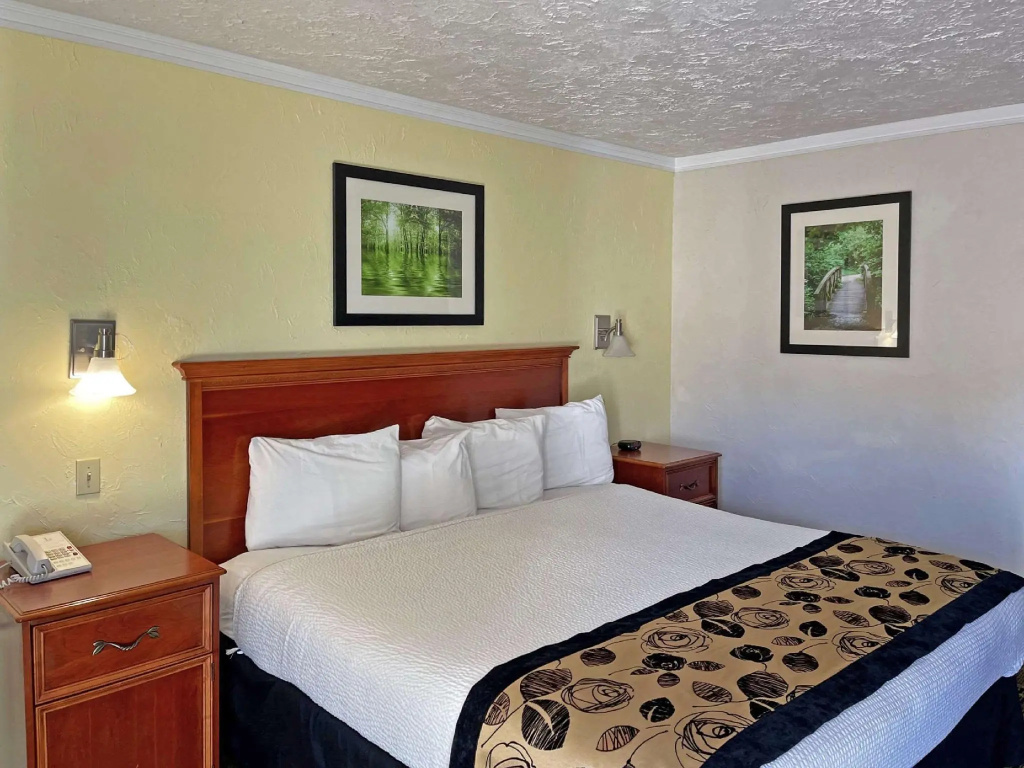 Baechtel Creek Inn - Chambres