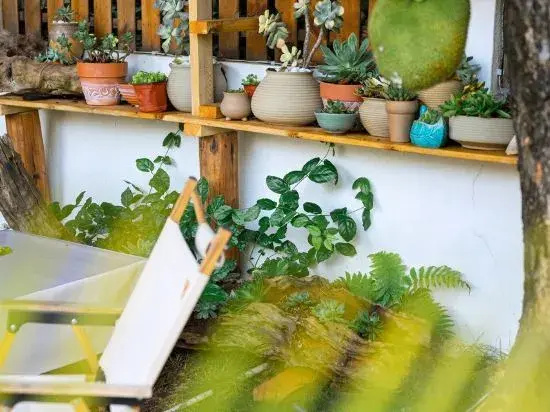 Weizhou Island Summer Haiqing Homestay