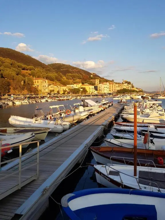 Petra Marina Home