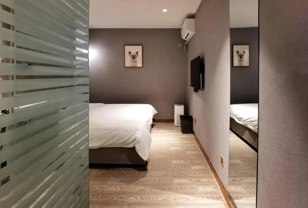 Standard Double room (full double bed)