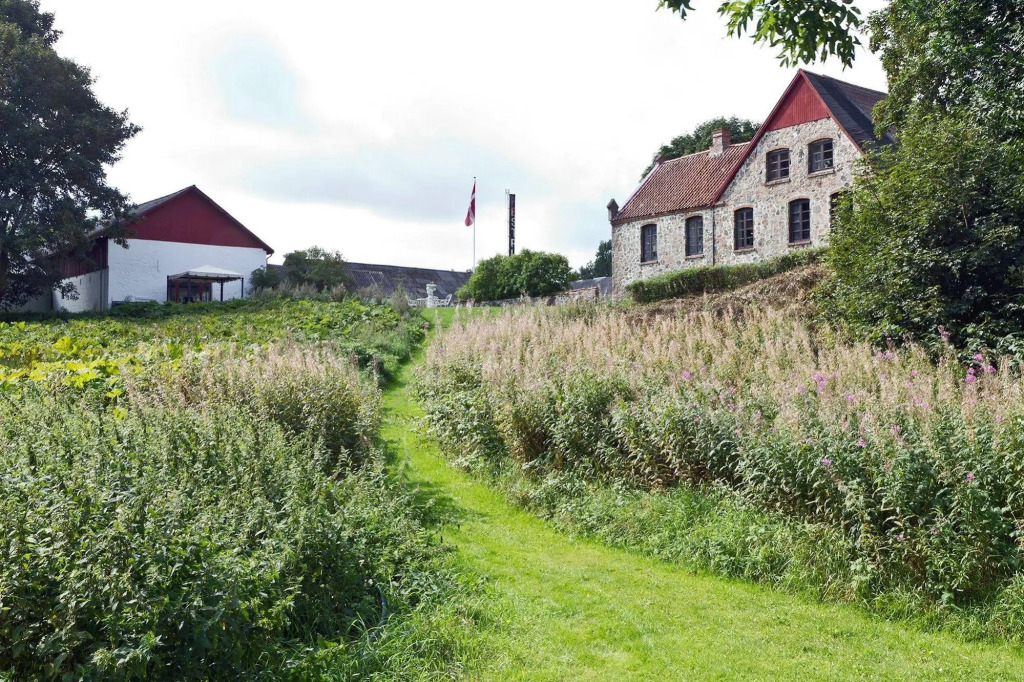 Image 11