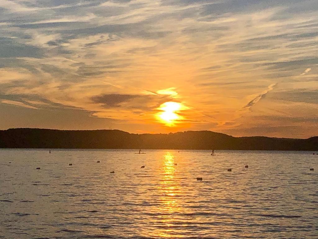 Отель White House Zamárdi - ex TESZ Vendégház, фото 8