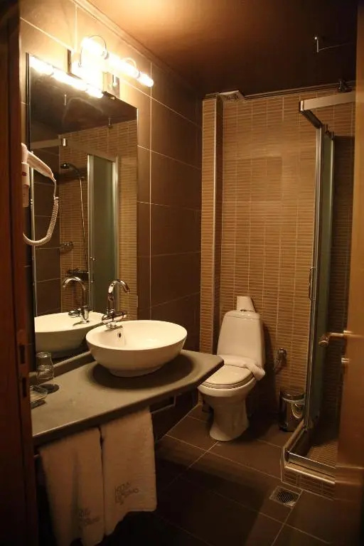 Executive Double room (full double bed)