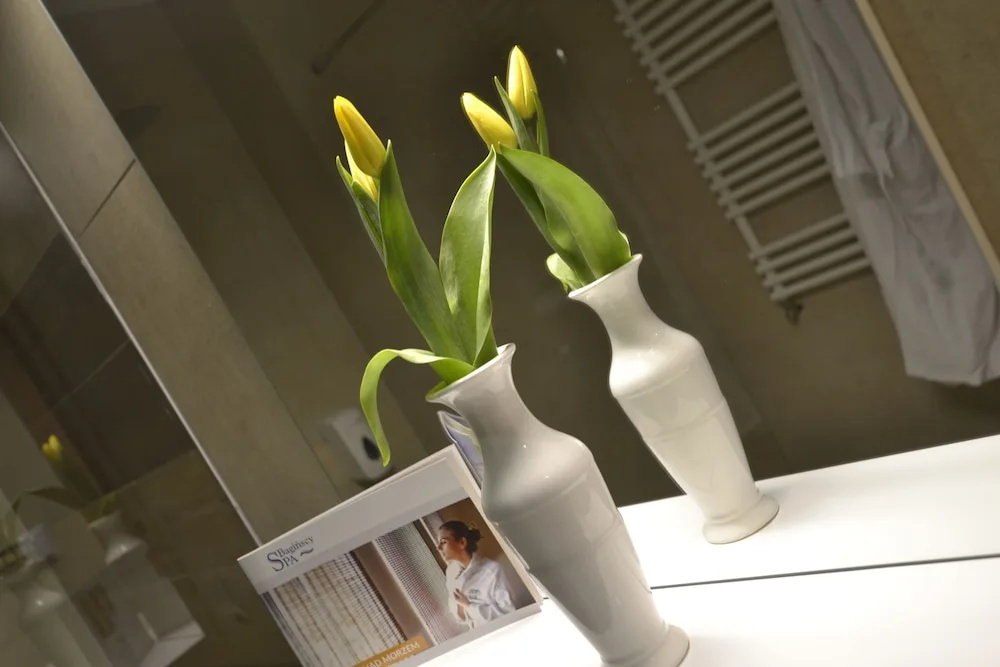 Baginscy Spa - Chambres