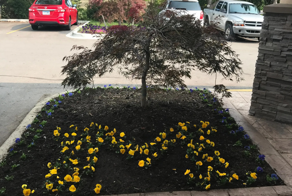 Wyndham Garden Ann Arbor - Général