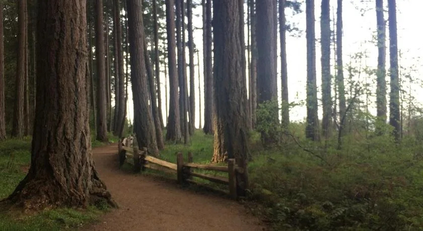 Brant Bed And Breakfast