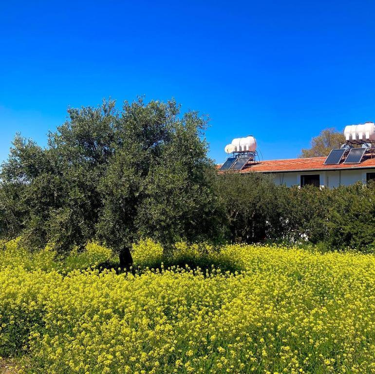 Bare Hill Holiday Apartments