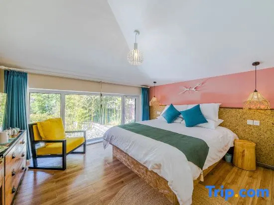 Standard Double room with mountain view (full double bed)