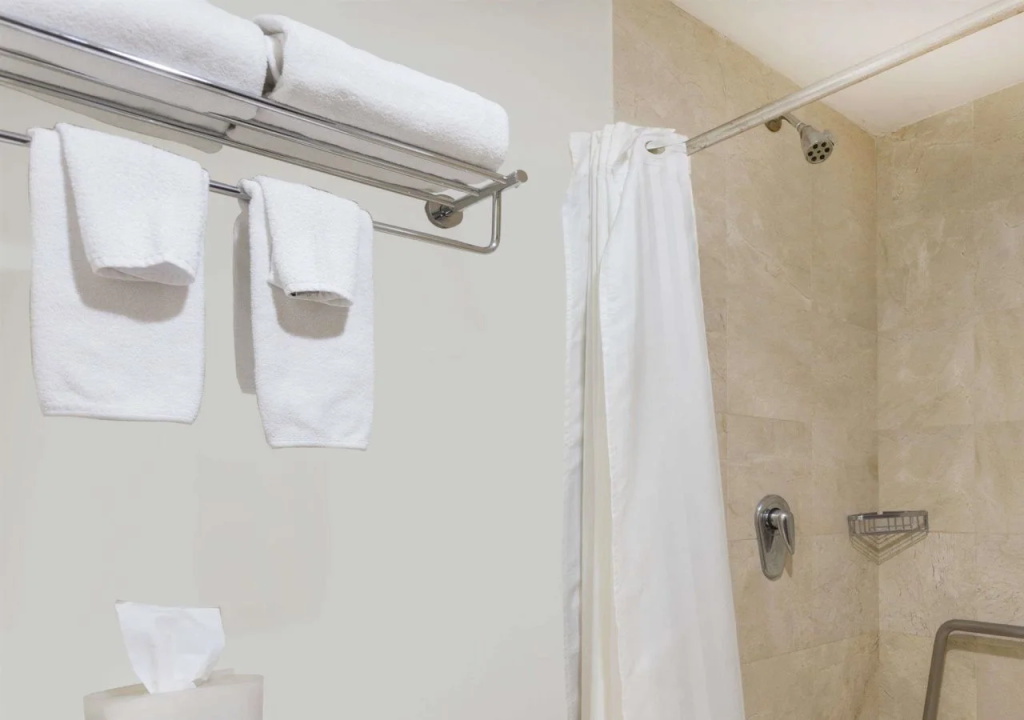 Hilton Garden Inn Mexico City Polanco - Général