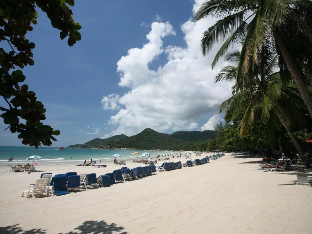 Samui First House Hotel - Général