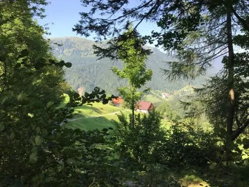 Mountain Lodge Petrovo Brdo