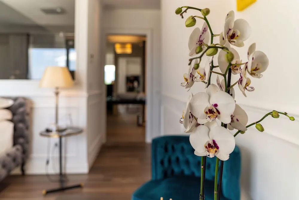 Hotel photo 29