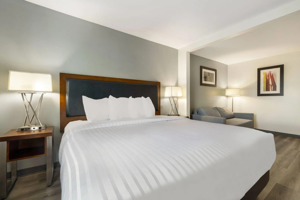 Wingate by Wyndham - Round Rock - Général