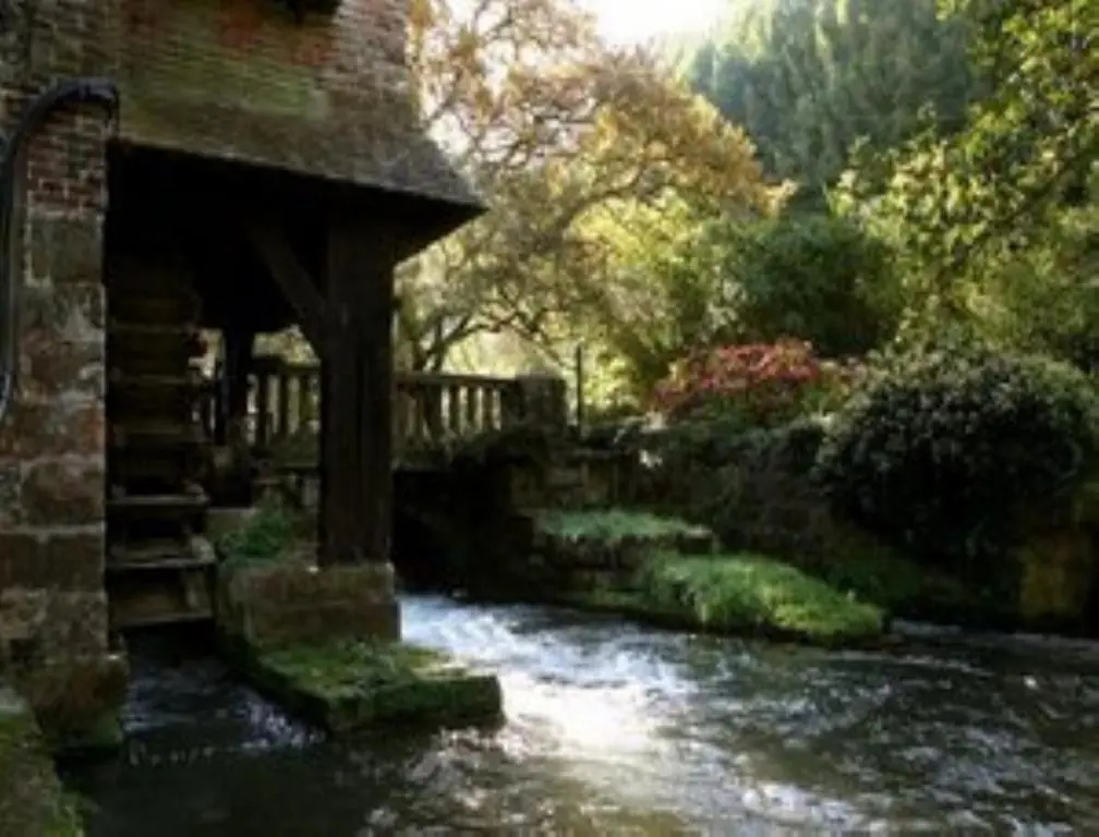 Afficher la photo 8 — Le Moulin Fleuri Du Petit Appeville