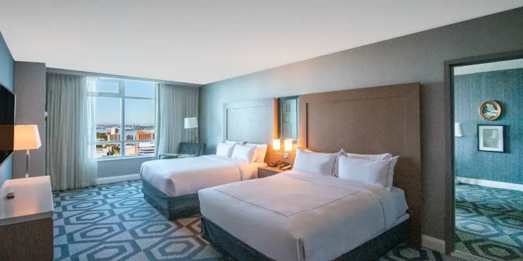 Deluxe Single Suite