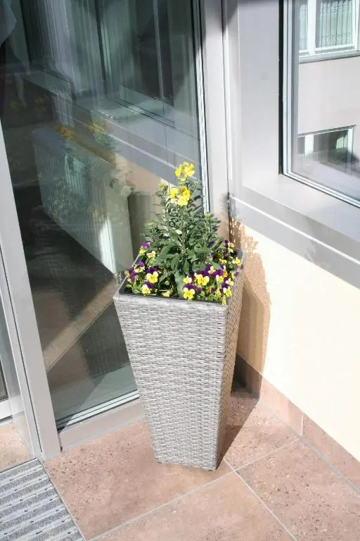 Balcony & Terrace