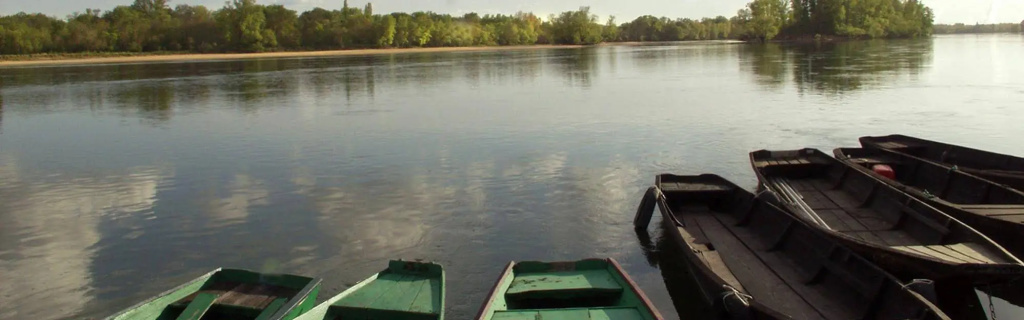 Voir la photo 2 — Domaine de la Roche Bellin