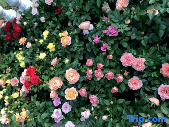 Qingcheng Houshan Guyue Xiaozhu Homestay