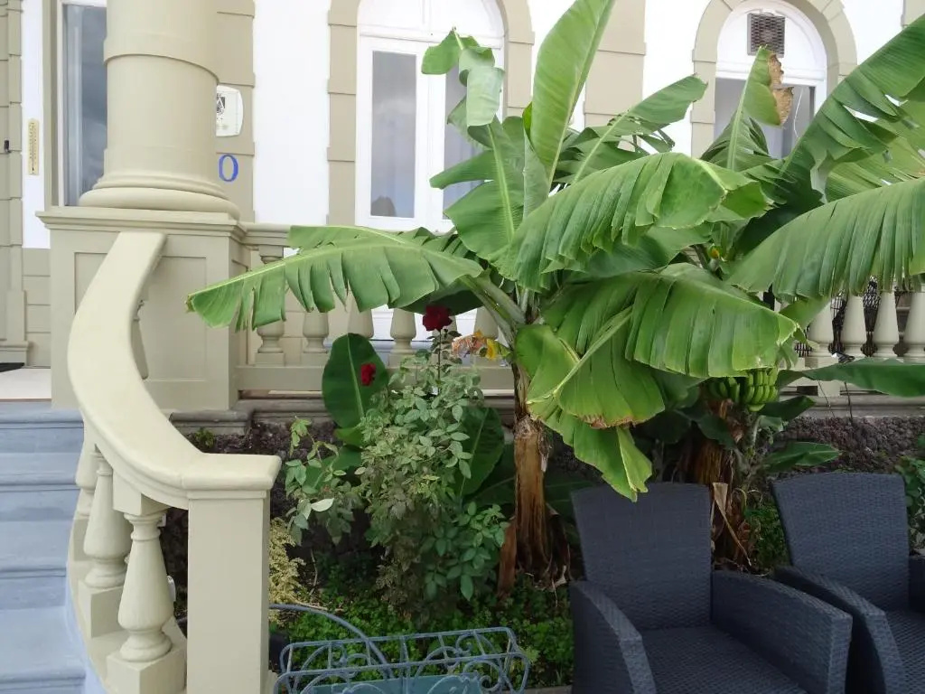 Hotel Monte Carlo - Chambres