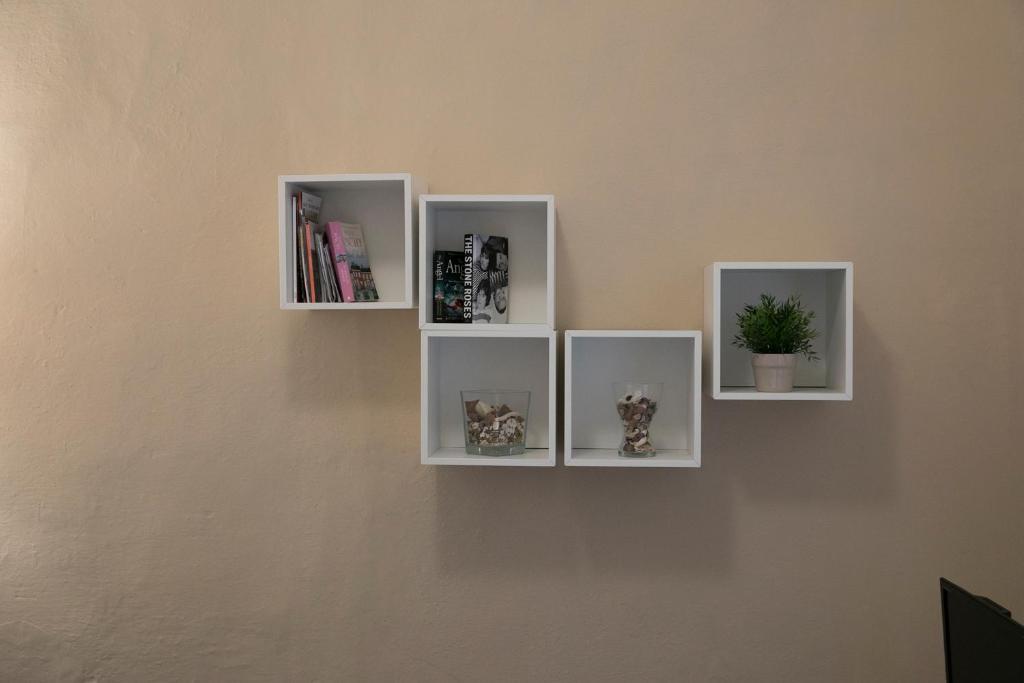 Image 8