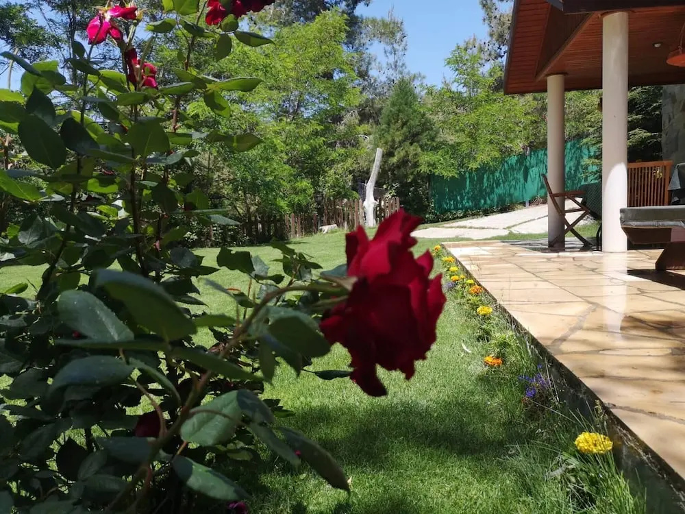 Villa Enriette - Panoramic Mountain Retreat in Pano Platres, Cyprus