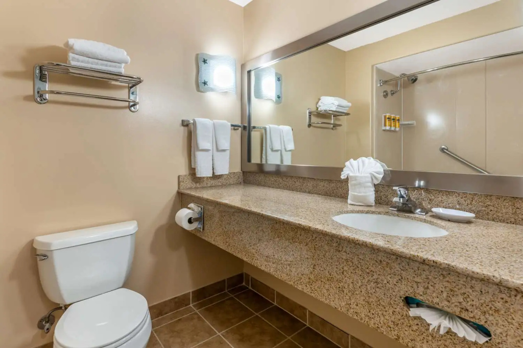 Business Junior Suite