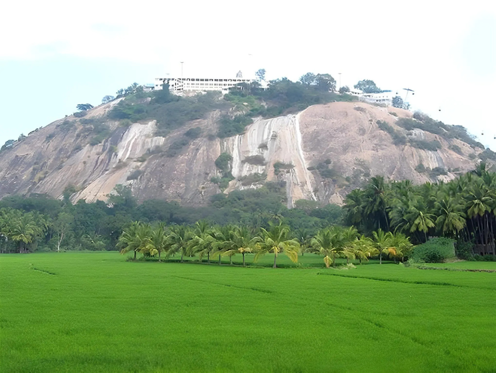 Hotel Subham - Général