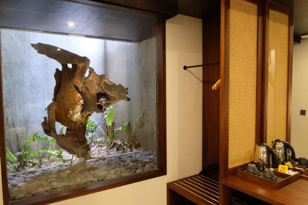 Japa Suites & Villas