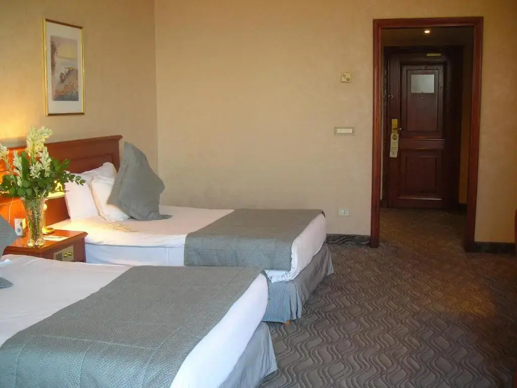 Classic Double room with city view (full double bed)
