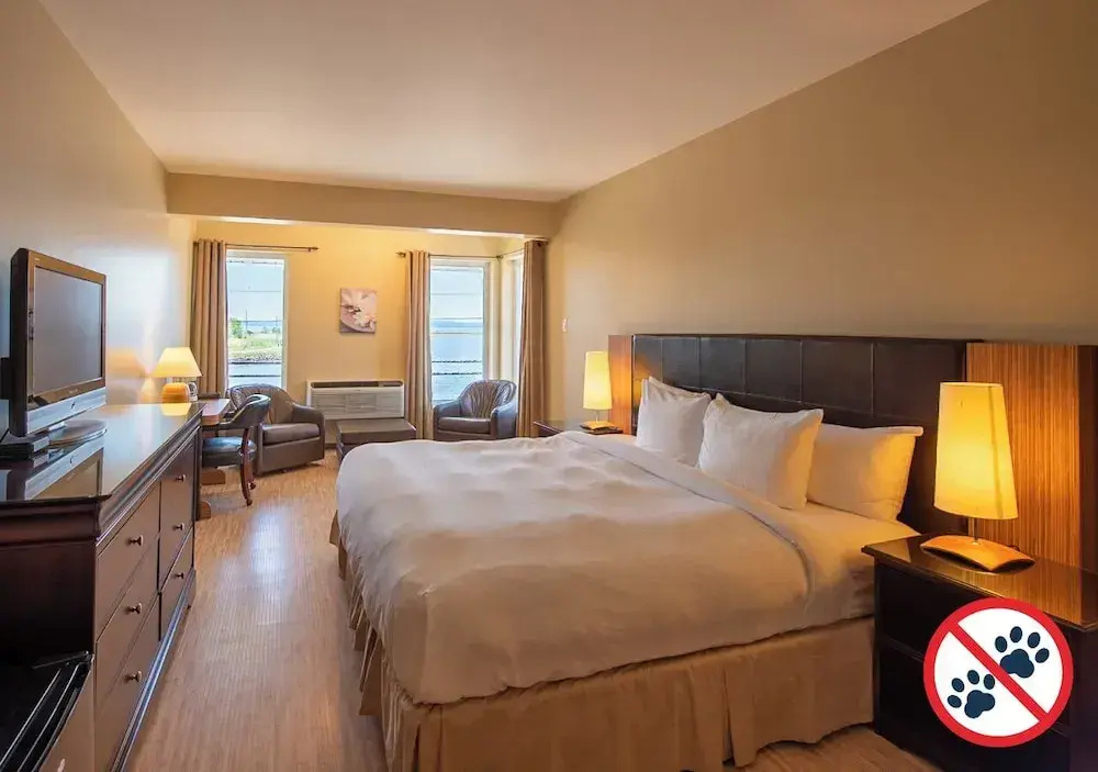 Standard Double room with view (full double bed)