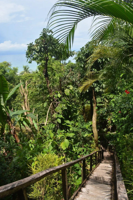 The Lookout Inn Lodge - фото 19