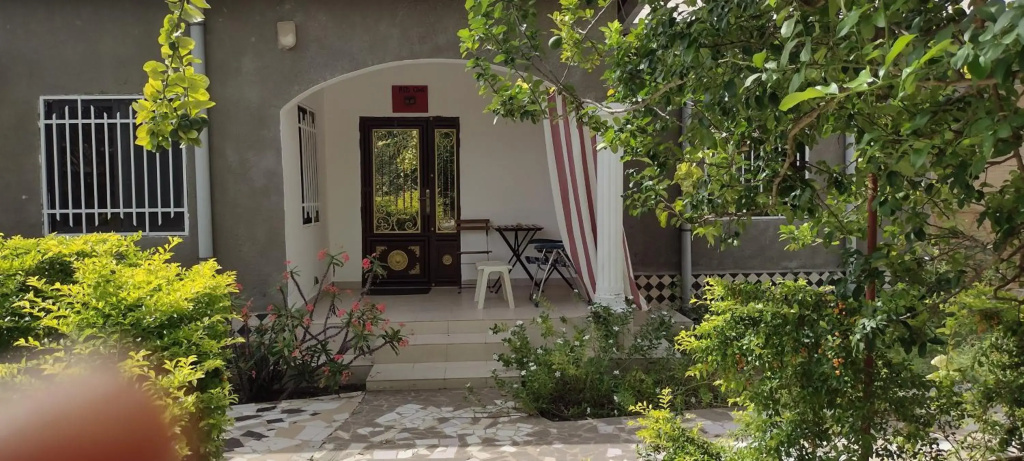 Real Owl Guest House