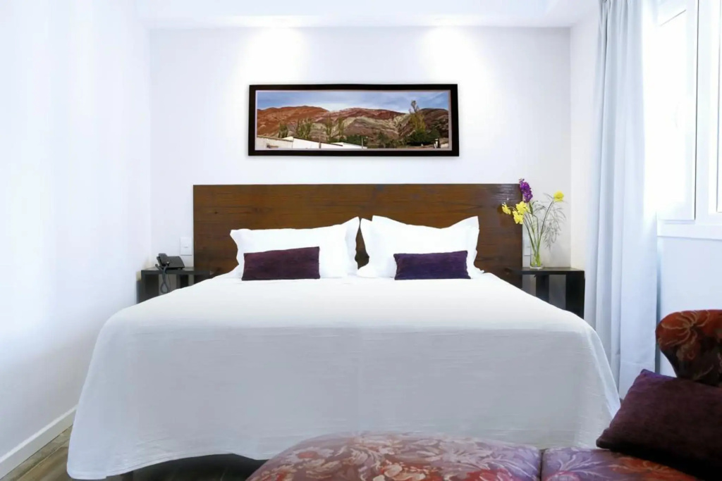 Alma del Plata Buenos Aires Hotel - Général