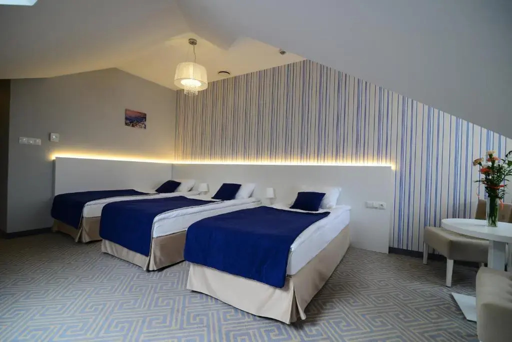 Hotel Aleksandria - Chambres