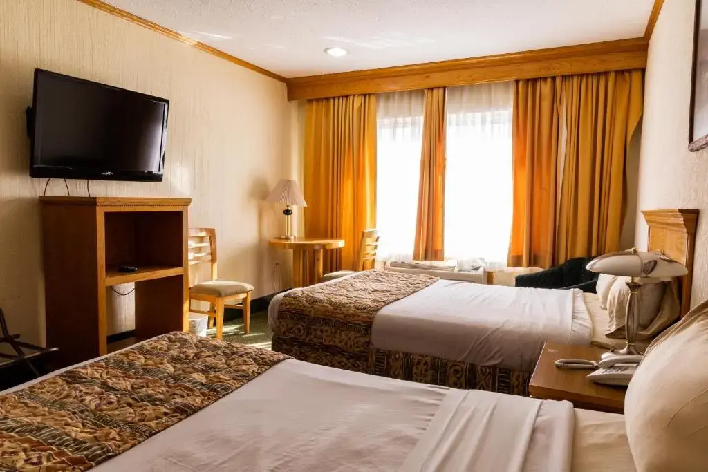 Deluxe Double room (twin beds)