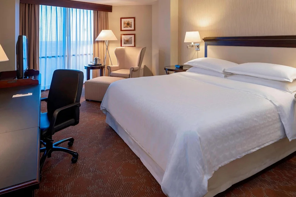 Sheraton Houston Brookhollow Hotel - Chambres
