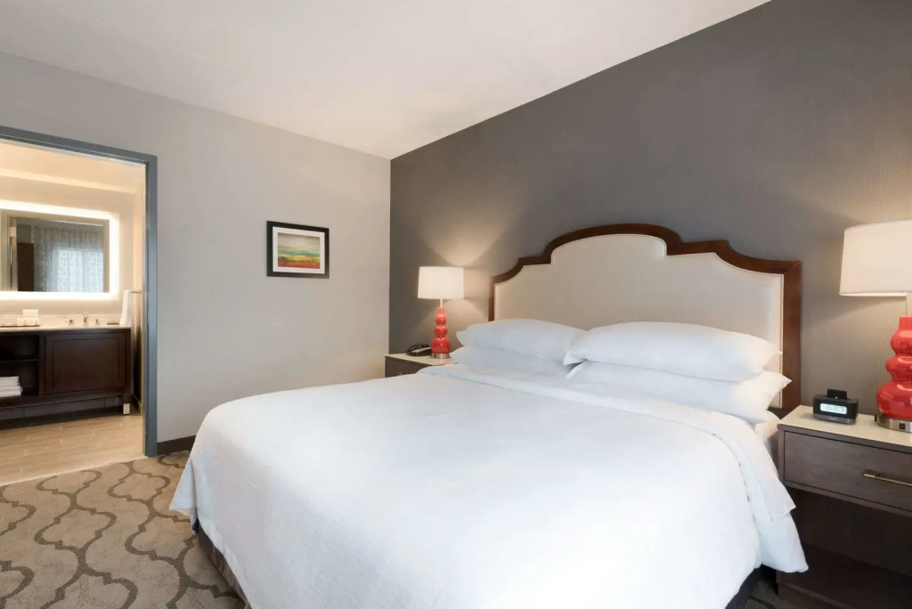 Embassy Suites by Hilton Chicago Naperville - Général