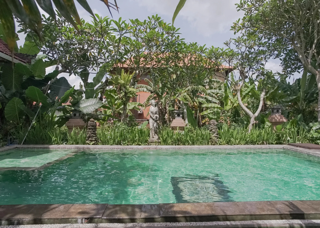 Ubud Kerta City Hotel - Général
