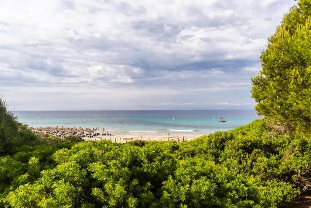Beach & Waterfront